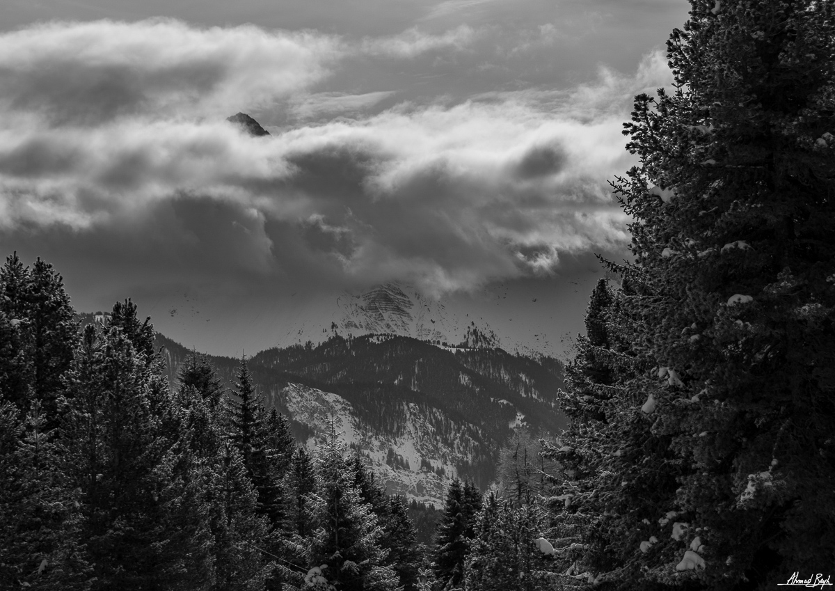 Photograph by Ahmad Beyh