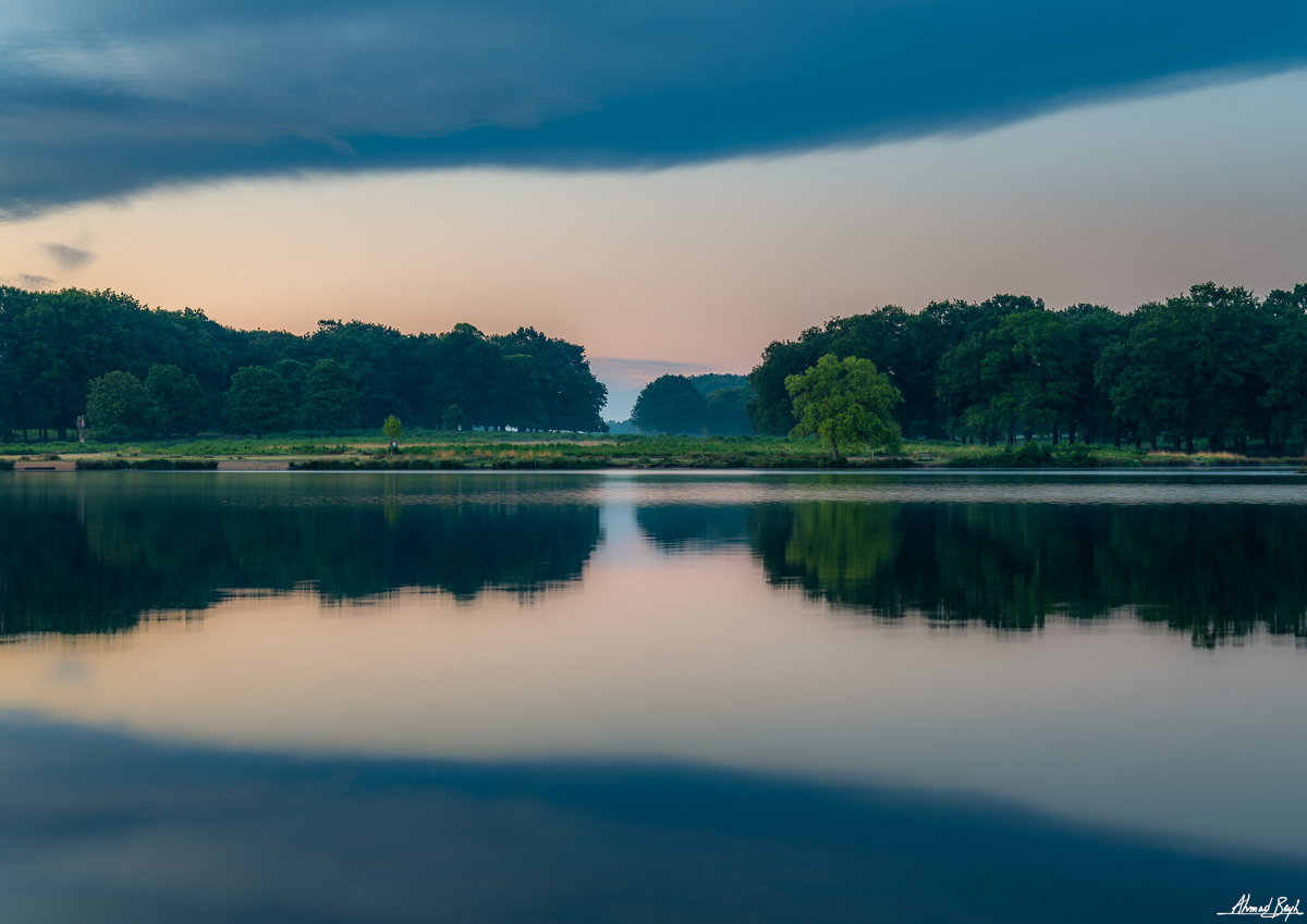 Photograph by Ahmad Beyh