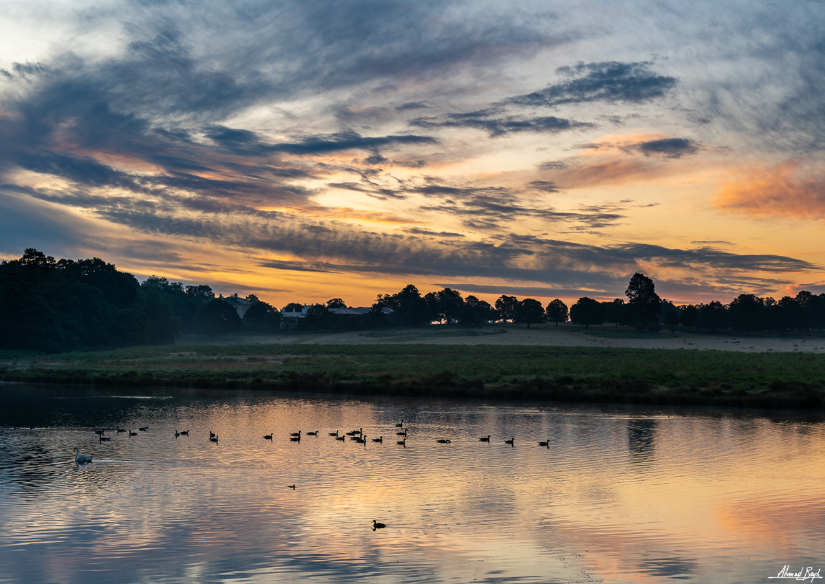 Photograph by Ahmad Beyh