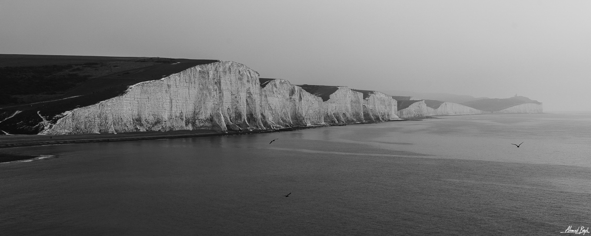 Photograph by Ahmad Beyh